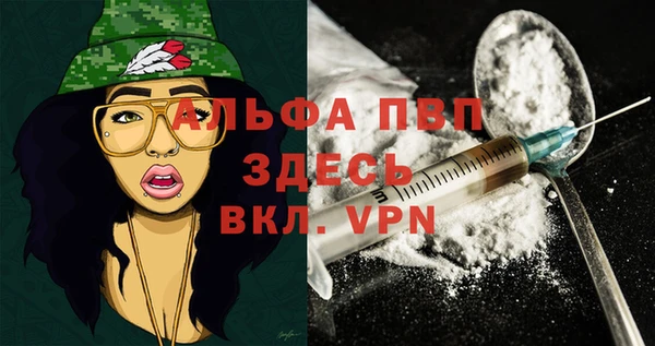 сатива Алзамай