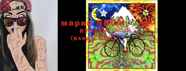 дурь Алексин